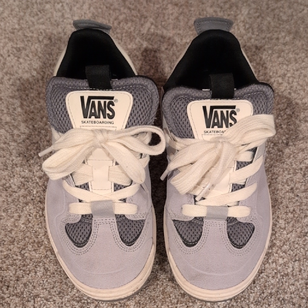 Vans Skate Mixxa Shoe